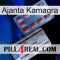 Ajanta Kamagra 36